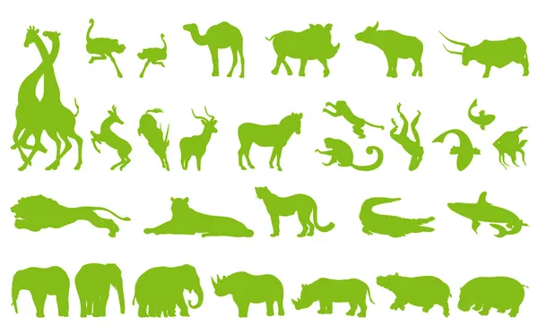 Afrika dieren illustratie collectie achtergrond vector set — Stockvector