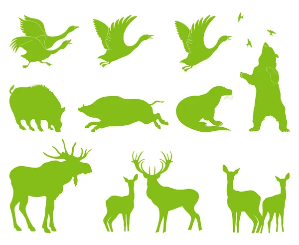 Ecology forest animal vector set background — Stock Vector