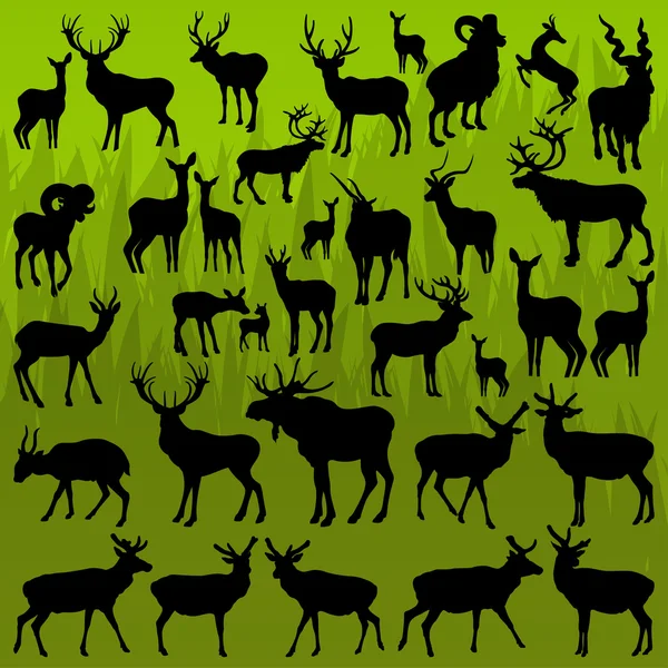 Deer, moose and mountain sheep horned animals vector — Stock Vector