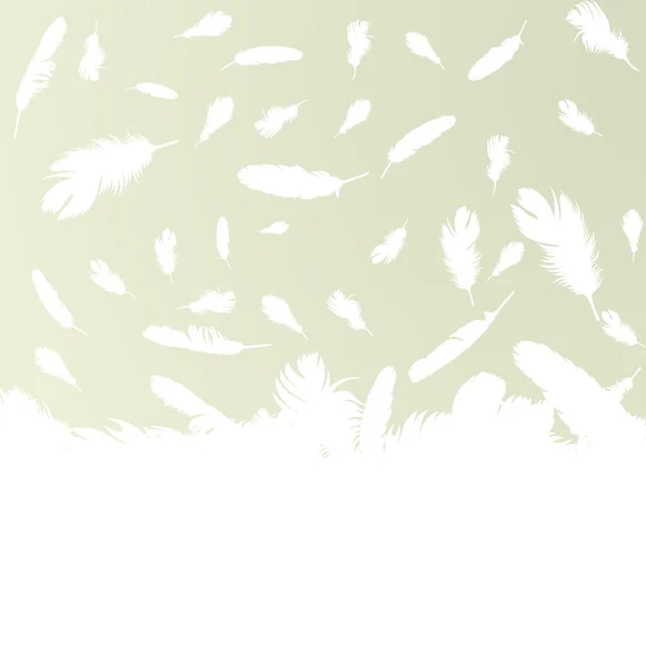 羽のベクトルの背景 — ストックベクタ