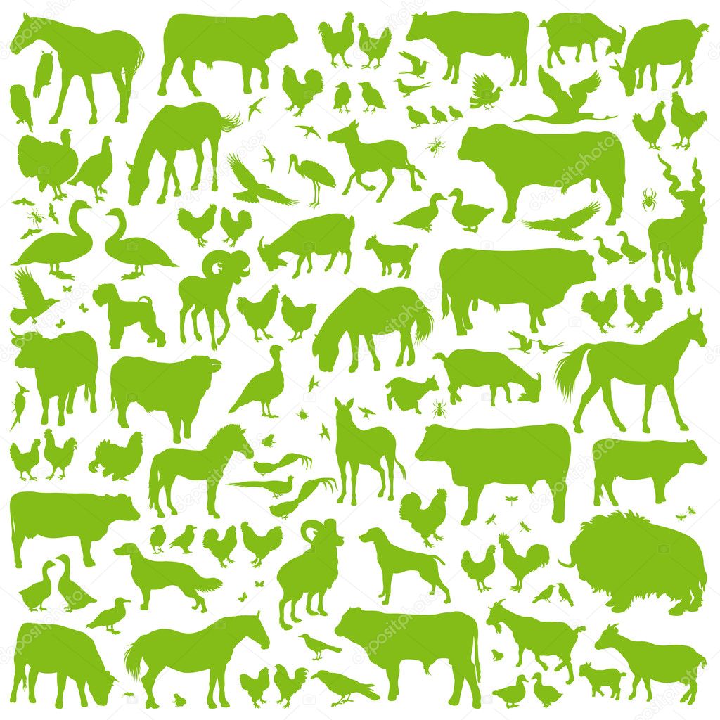 Farm animals detailed silhouettes background vector