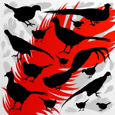 Pheasant bird hunting season silhouettes illustration background clipart