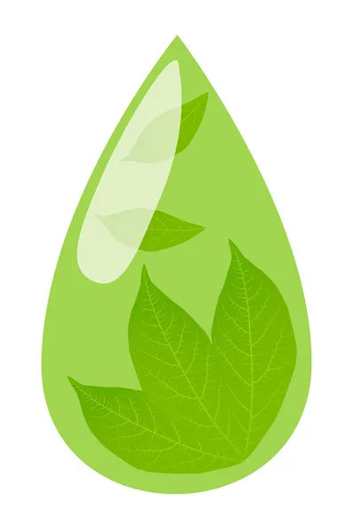 緑茶のドロップと新鮮な緑の葉の背景ベクトルの概念 — ストックベクタ