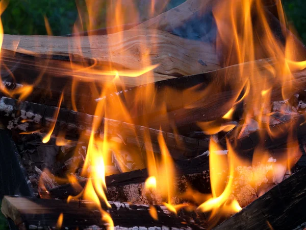 stock image Burning wood