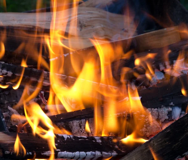 stock image Live coals and burning wood