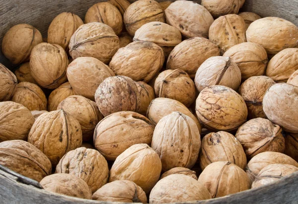 Many natural inshell walnuts