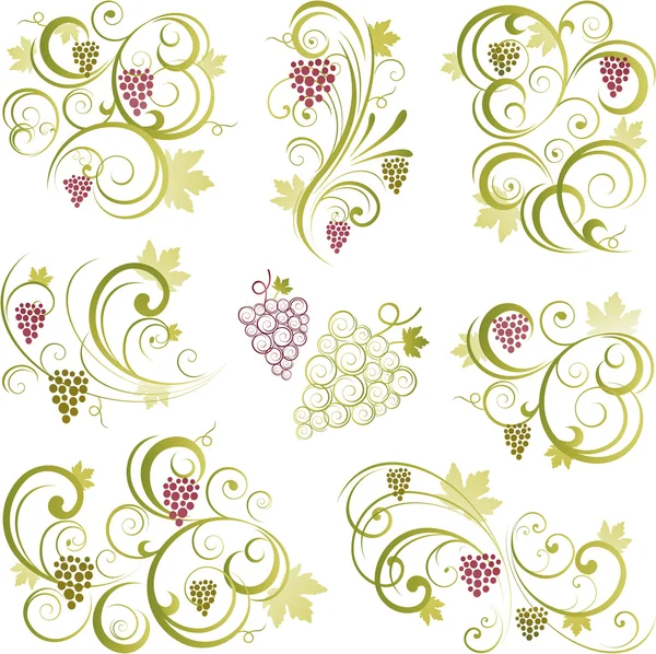 Grapevine motifs — Stock Vector