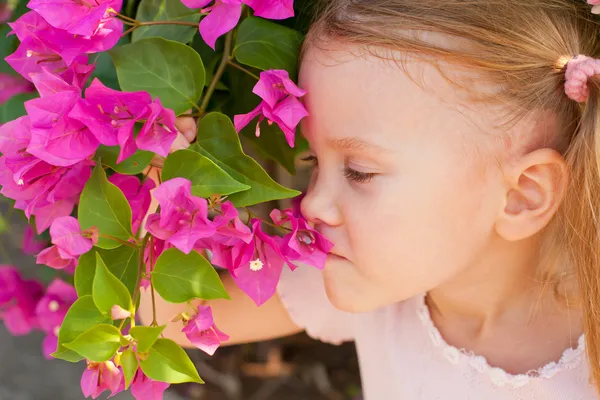 Retrato de una niña sobre el fondo de un arbusto de flores rojas — Foto de Stock