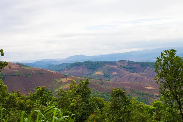 Vale da montanha do norte da Tailândia — Fotografia de Stock