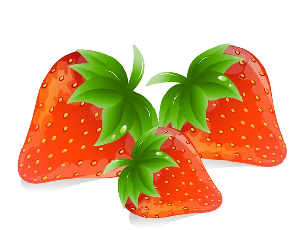 Ilustración vectorial: fresas — Vector de stock