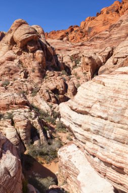 red rock Canyon mojave Çölü'nde görüntüle.