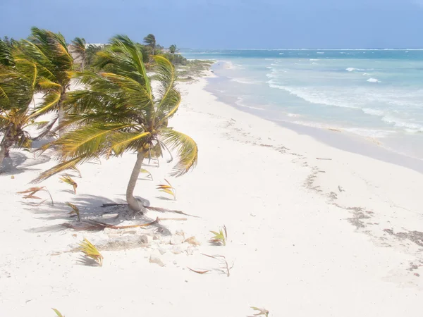 A view of the caribbean beach. — Stock Photo, Image