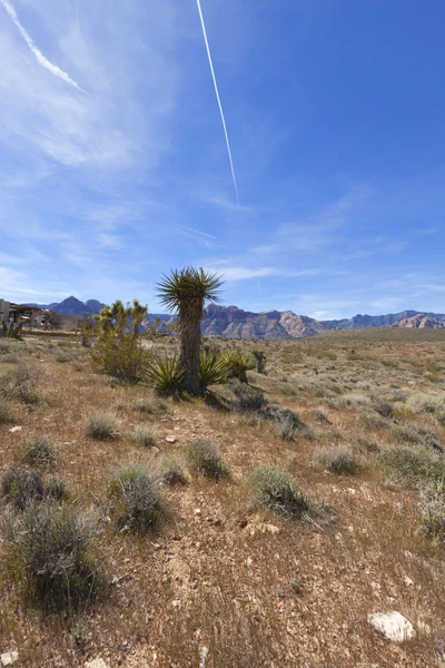 Vue sur le désert de Mojave . — Photo