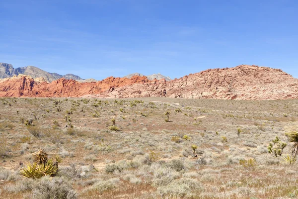 Vista do deserto de Mojave . — Fotografia de Stock