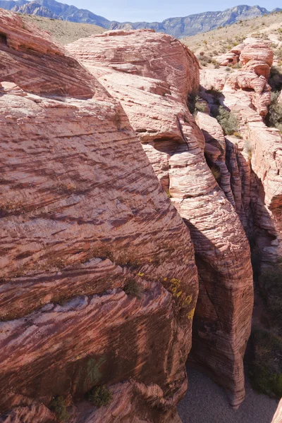 Vörös szikla kanyon a mojave sivatagban megtekintése. — Stock Fotó