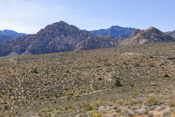Vista do deserto de Mojave . — Fotografia de Stock