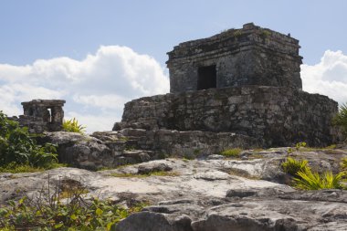 Mayan Ruins. clipart