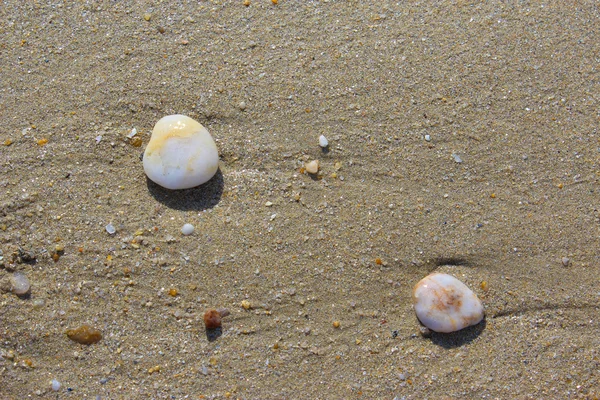 stock image Kerguelen sand