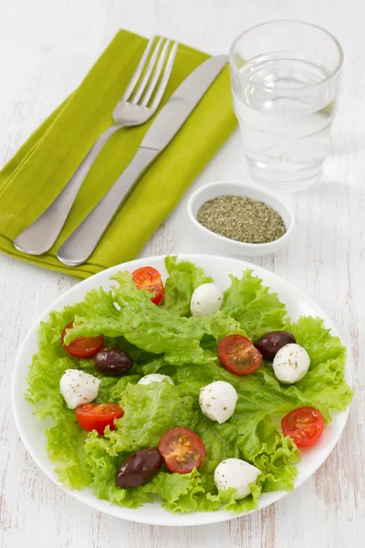 Salade met mozzarella kaas op de plaat — Stockfoto