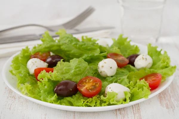 Salad with cheese mozzarella on the plate — Stock Photo, Image