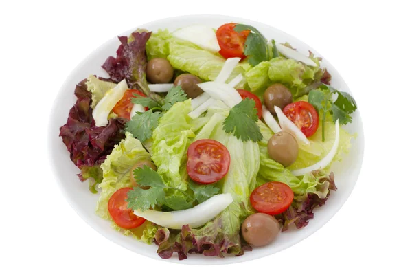 Ensalada de verduras en el plato blanco —  Fotos de Stock