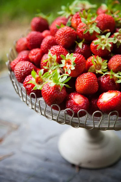 Fresas frescas — Foto de Stock