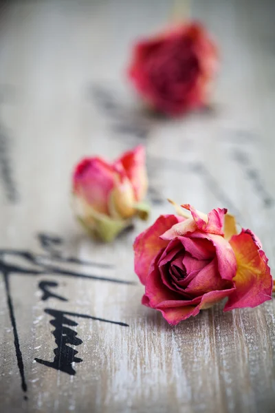Roses séchées — Photo