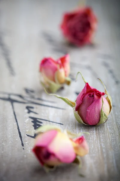 Kurutulmuş güller — Stok fotoğraf