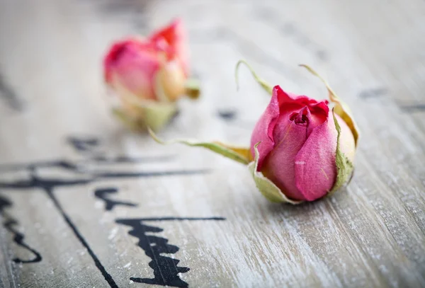 干燥的玫瑰花 — 图库照片
