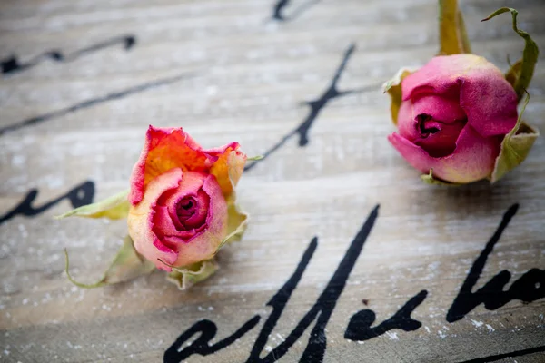 Kurutulmuş güller — Stok fotoğraf
