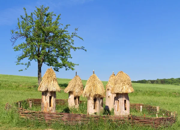 Ancient beehives on a meadow, Ukraine — Stock Photo, Image