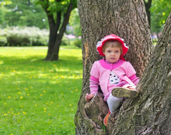 Little girl climbed on tree and sitting on it — Stock Photo, Image