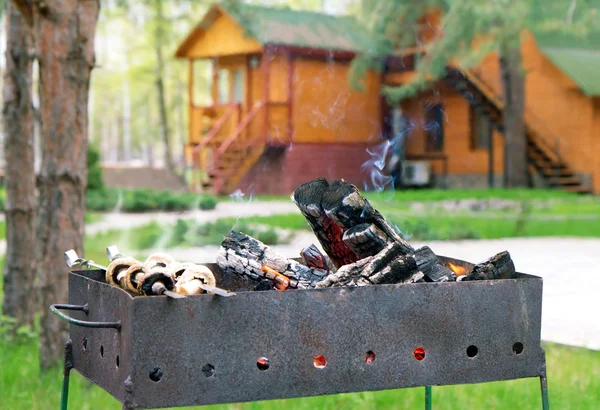 Champignons en fumée sur barbecue grill — Photo
