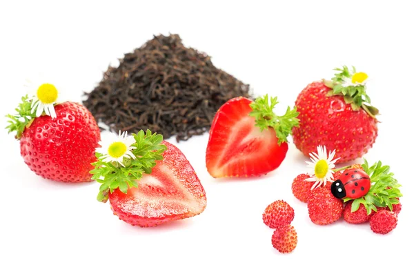 Schwarzer Kräutertee mit Erdbeere auf weißem Hintergrund — Stockfoto