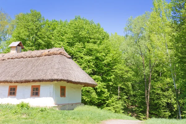 Традиционный украинский сельский дом — стоковое фото