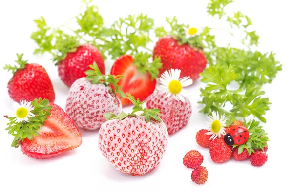 Fresh and frozen strawberries on white — Stock Photo, Image