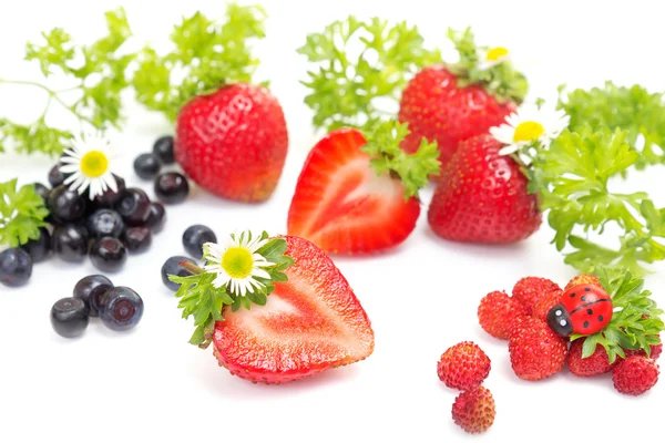 草莓和蓝莓白底 — 图库照片