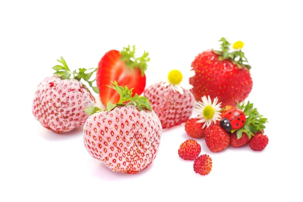 Fresas frescas y congeladas sobre blanco — Foto de Stock