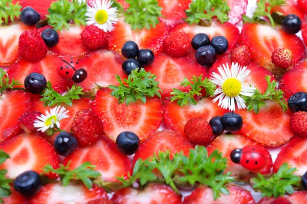 Fresas, arándanos y manzanilla flores fondo textural —  Fotos de Stock