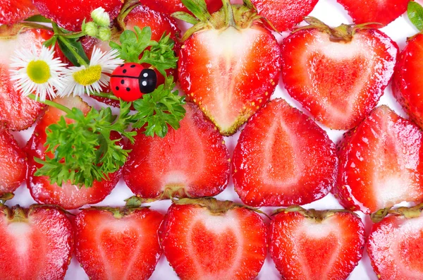 Tranches de fraise fraîches et coccinelles — Photo