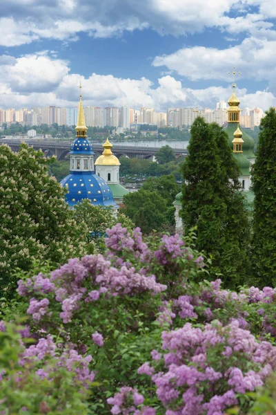 Прекрасный ботанический сад весной. Киев, Украина — стоковое фото