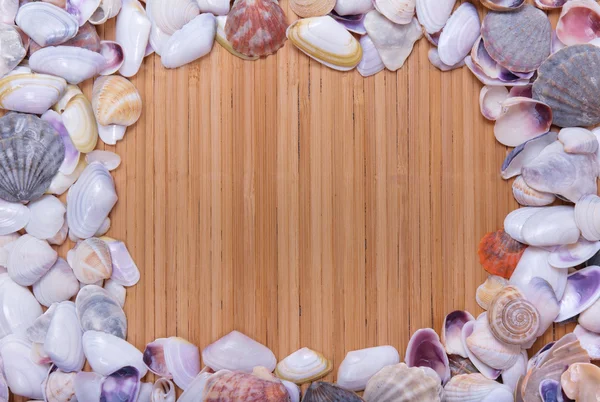 Seashells frame on wood stripes — Stock Photo, Image