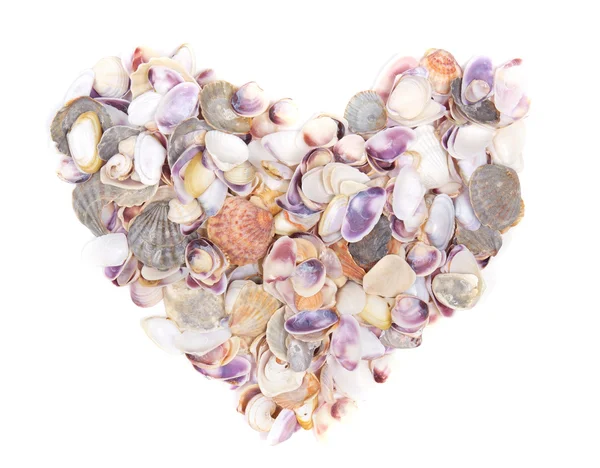Seashell hjärtat på vit — Stockfoto