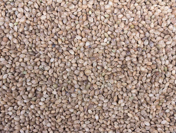 Antecedentes de sementes — Fotografia de Stock
