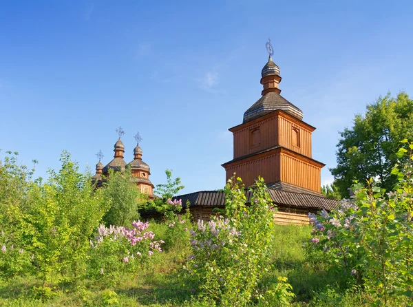 Old wooden church and lilac trees — Stock Photo, Image