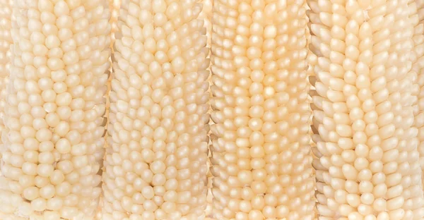 White corn textural background — Stock Photo, Image