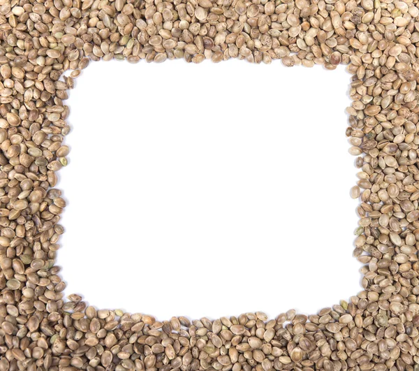 Hemp seeds frame — Stock Photo, Image