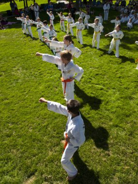 Tae kwon