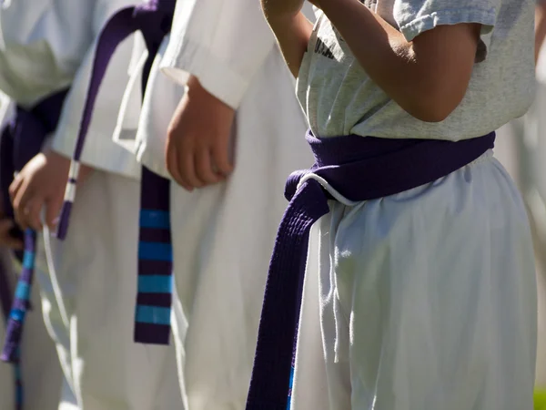 stock image Tae Kwon Do