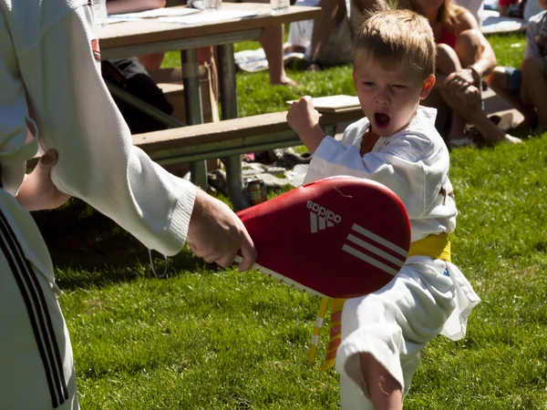 stock image Tae Kwon Do